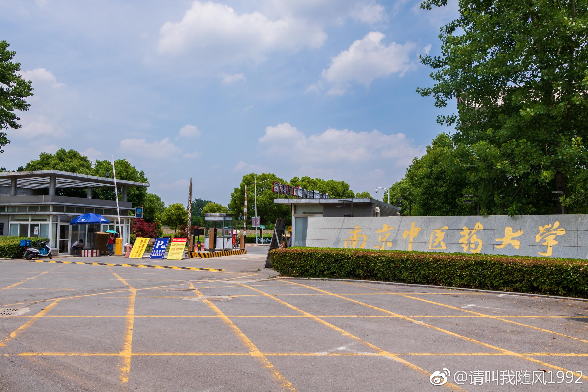 盛夏里的南中医