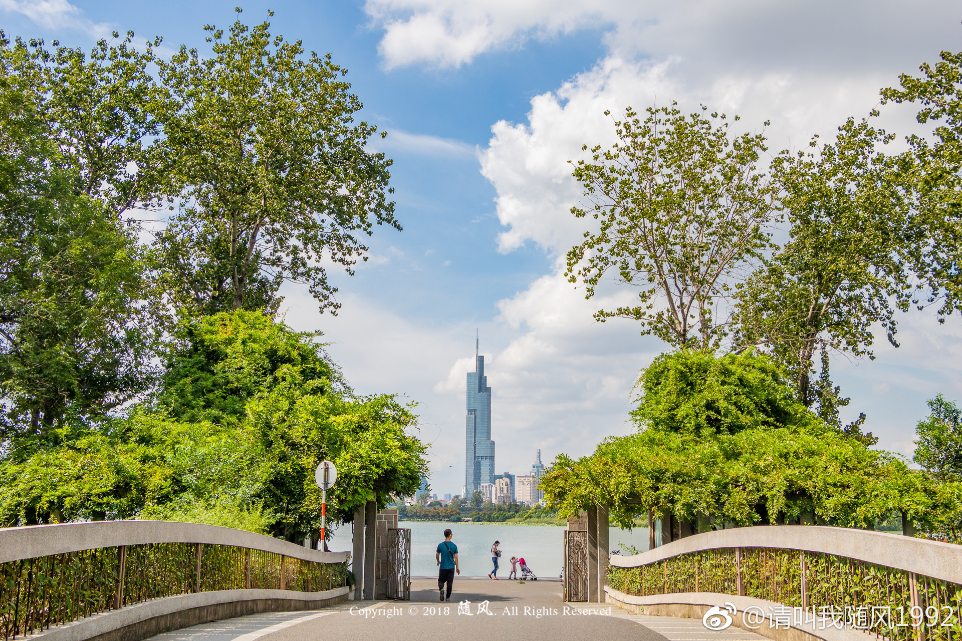国庆前的情侣园,美@江苏新闻 @南京市绿化园林局 @玄武发布