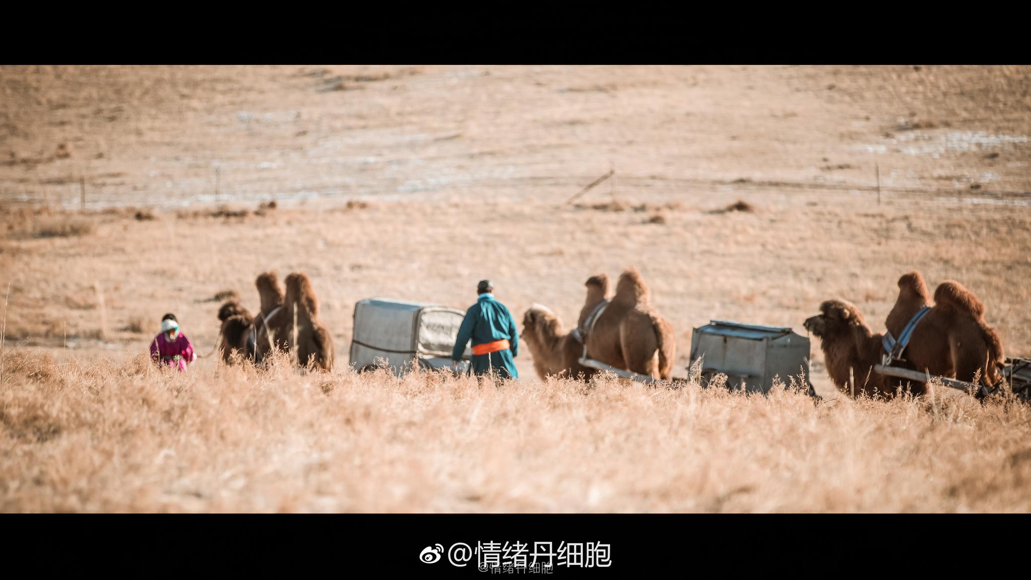 “走奥特儿”是传统的游牧民族每隔一段时间的大迁徙