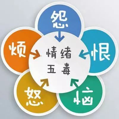 中國醫學科學院腫瘤醫院、昌平區號販子電話,圈子口碑最好100%有號!的簡單介紹