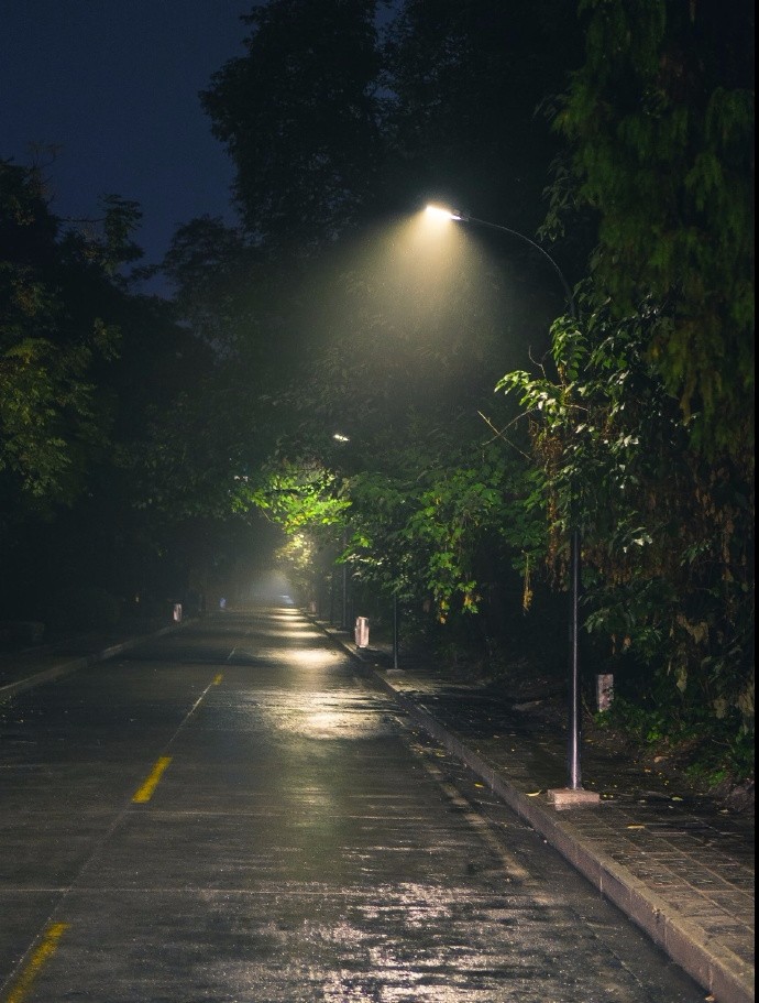 展灯赏夜雨踏路寻归途
