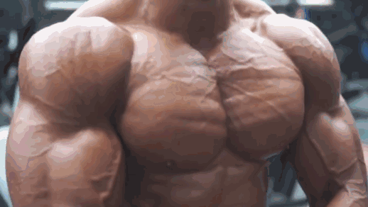 下面进入正式训练