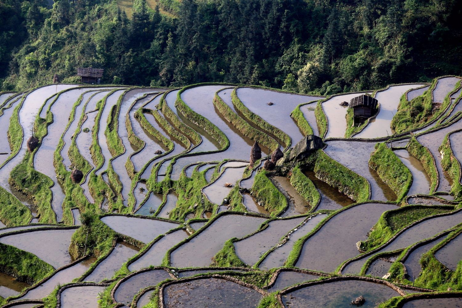 一组贵州加榜梯田的照片,一年四季景色都很美