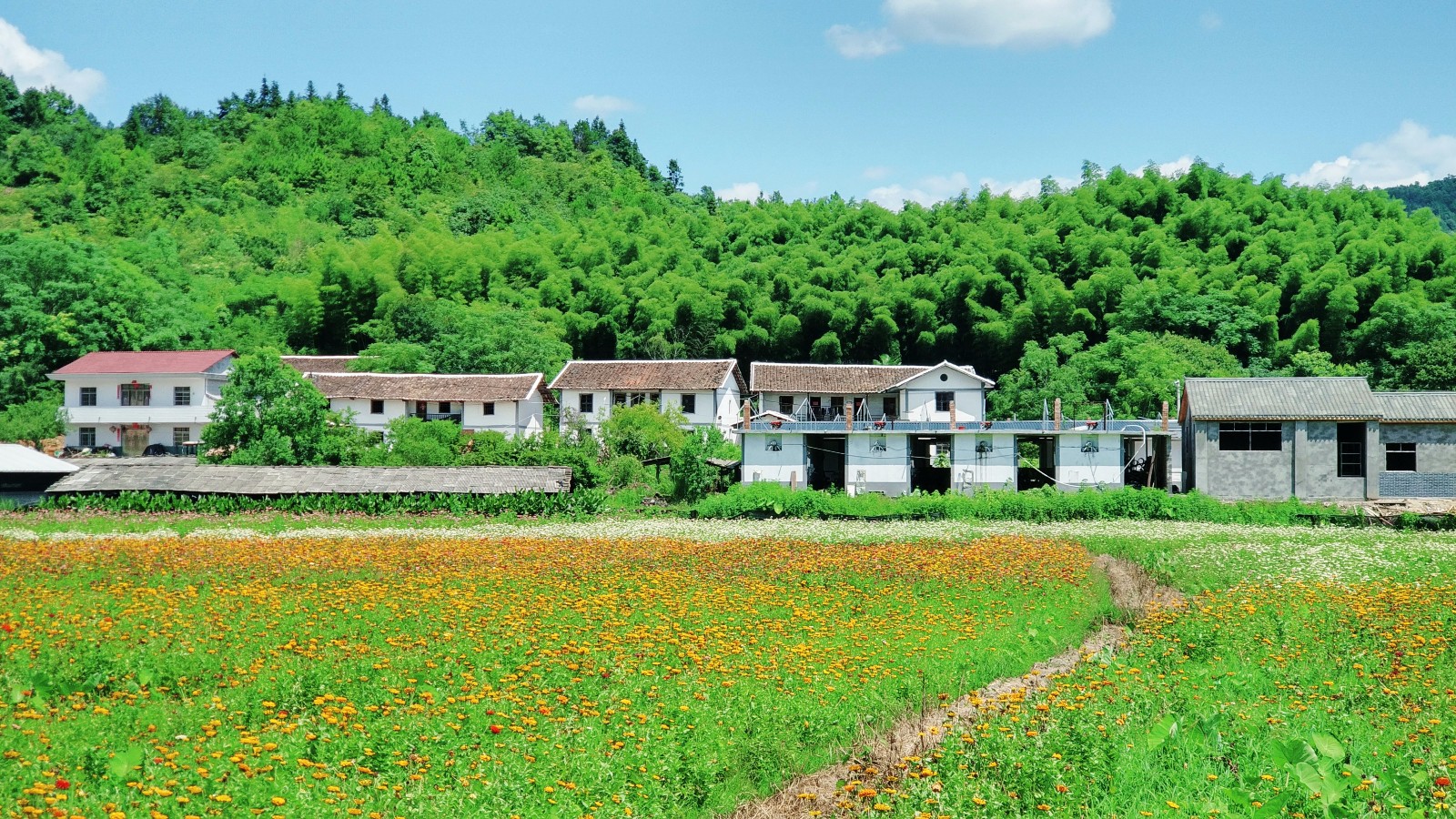 江西抚州南城县南丰县广昌县福建建宁县一路向东1095个我爱你