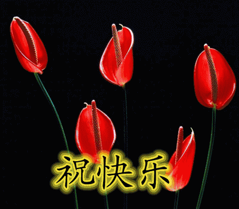 晚安问候动态美图 晚安问候祝福语大全动态__财经头条