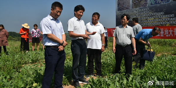 陕西中医药大学来旬开展帮扶工作|陕西中医药大学|中药材|刘勤社_新浪