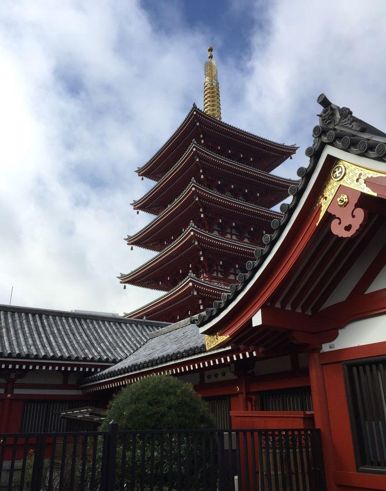 日本|秋景|富士山_新浪新闻