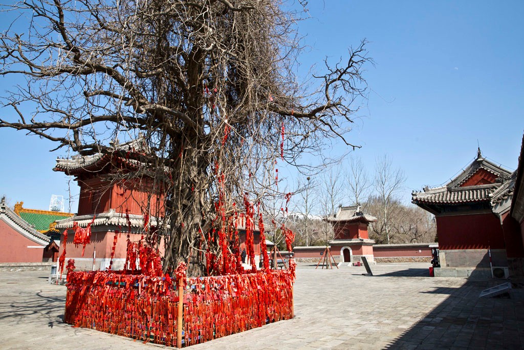 五顶八庙中的五顶庙是北京最著名的五座泰山神庙,亦称碧霞元君庙,分别
