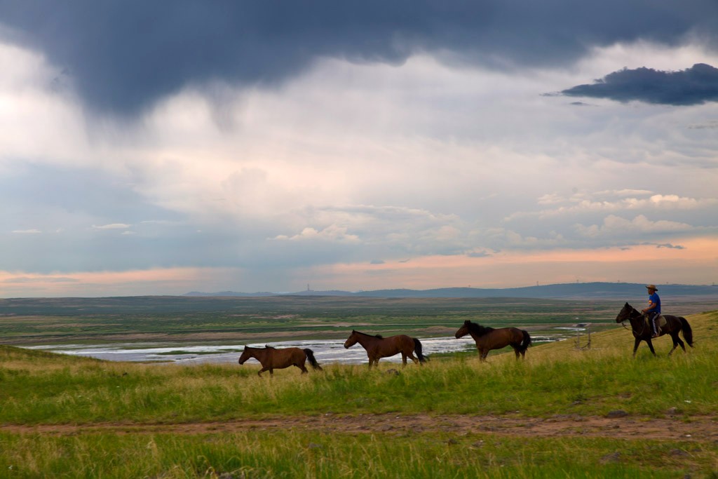 躲避高温闷热的都市去草原驰骋|蒙古|草原|都市_新浪新闻