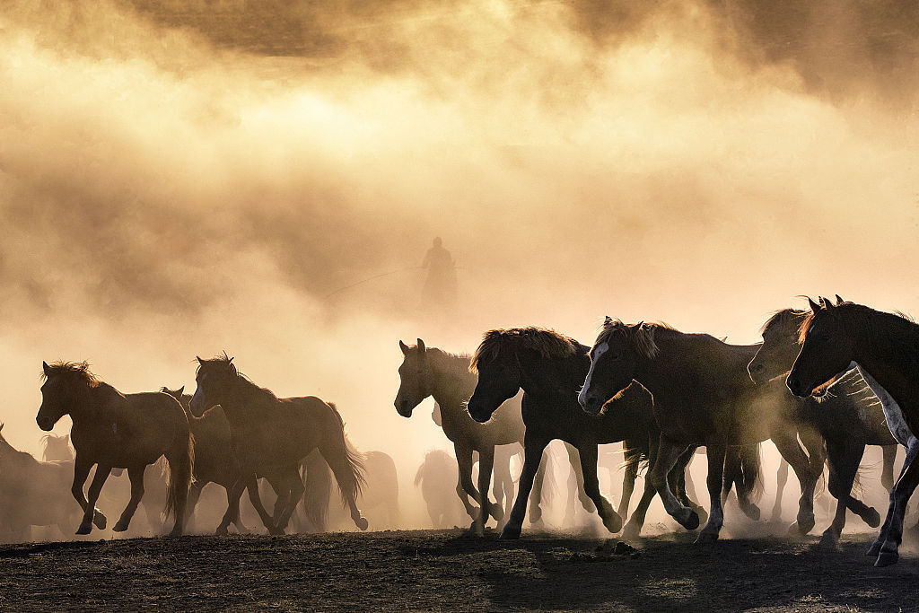内蒙古赤峰:马踏西风啸 飒爽俏英姿