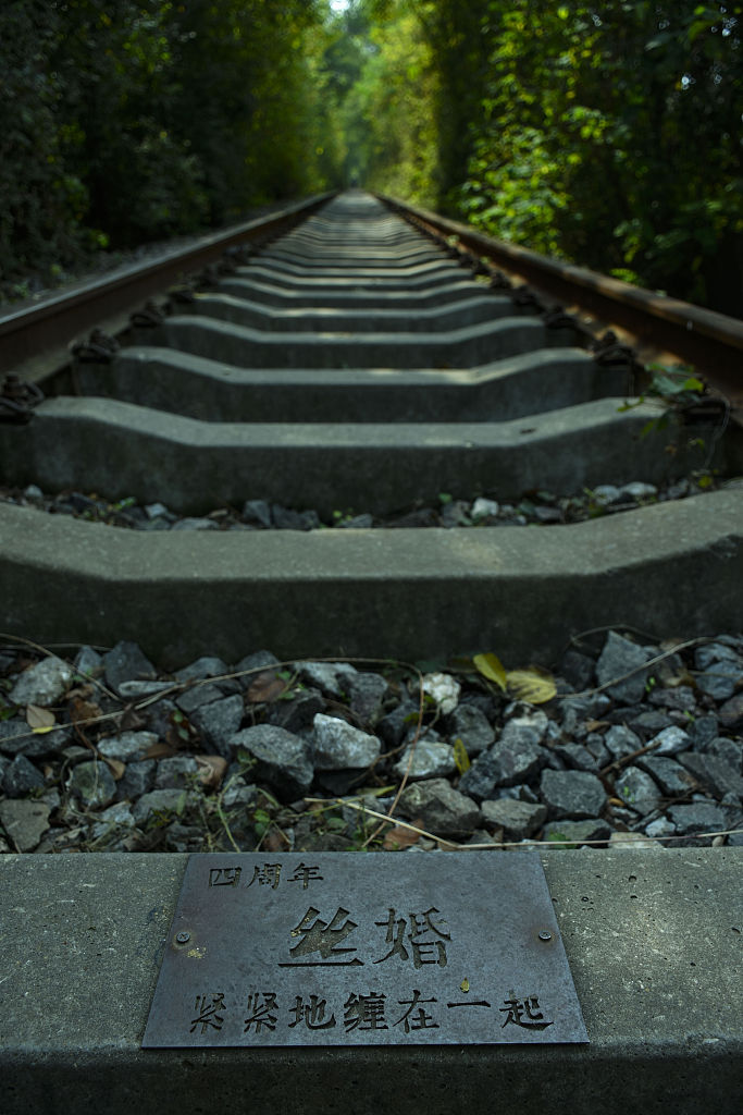 合肥市肥东县桥头集镇废弃铁路化身爱情隧道美如仙境吸引游客