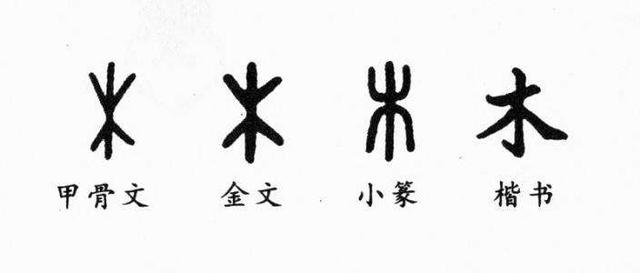 早在甲骨文中,就发现了"木"字,由于它是个象形字,所以很好辨认.