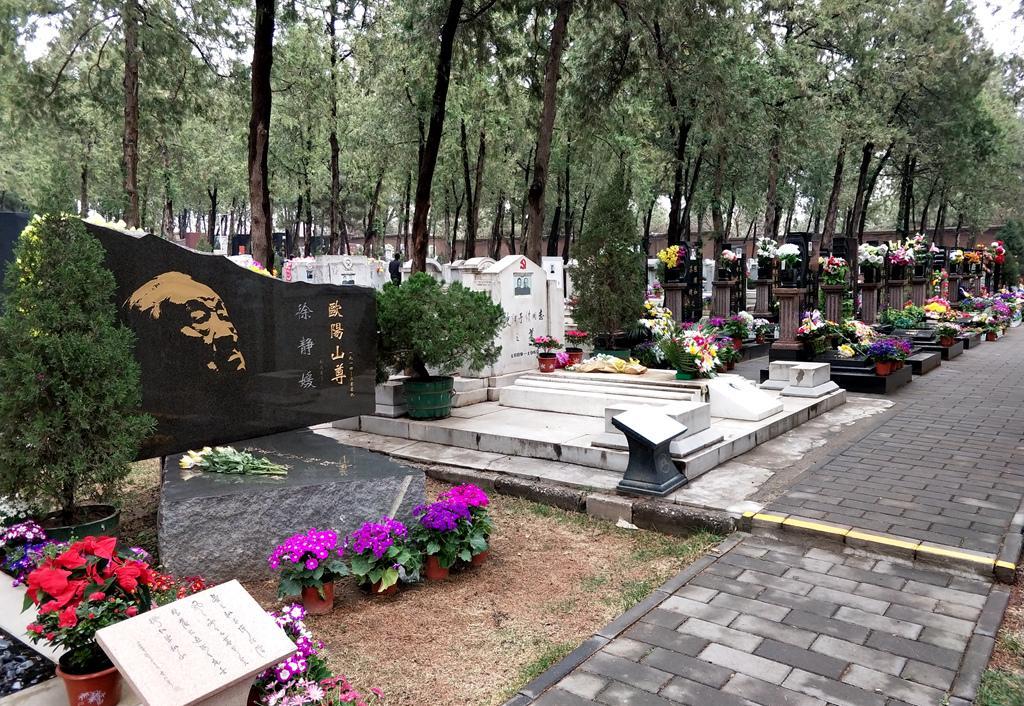 清明节,探访中国安葬高官最多的墓地,原来他们都在这