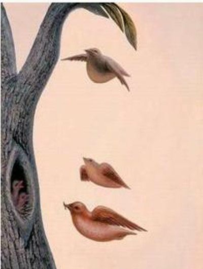 六张考眼力图,第几张看晕你,大多数人都输在第三张