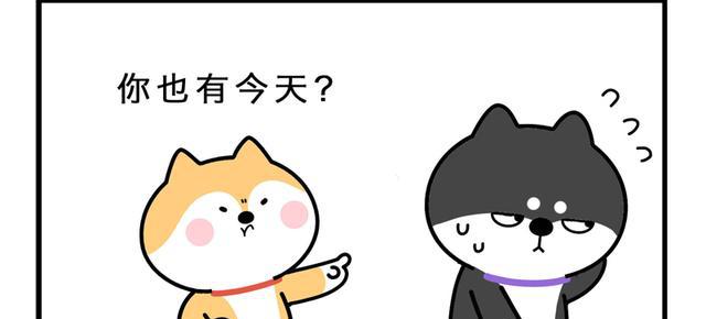 笨柴兄弟漫画|真解气