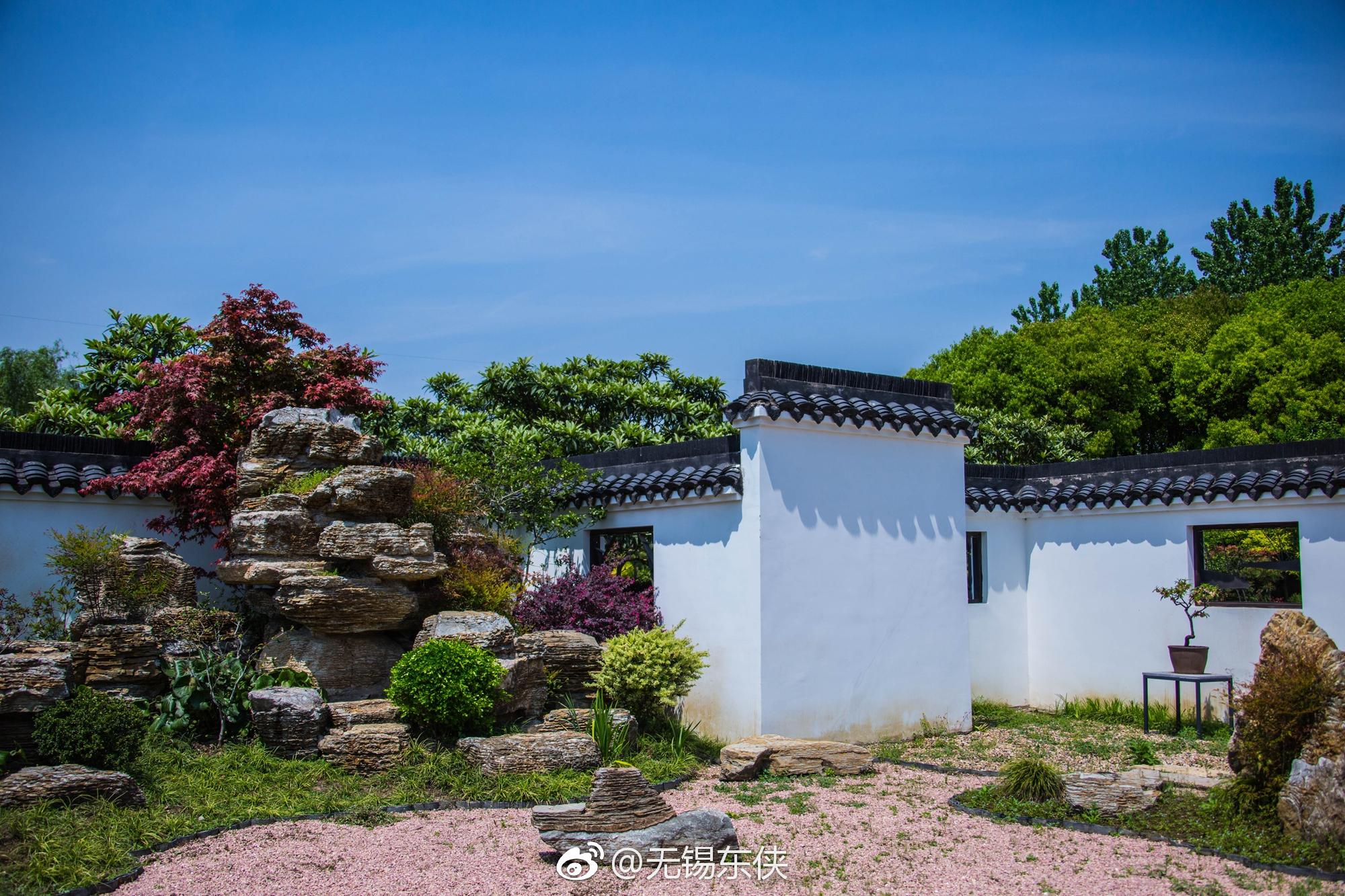 19岁的学生外甥嫌弃家里穷，和爸妈发生激烈争吵，还冒出卖肾这样的话，该如何引导？