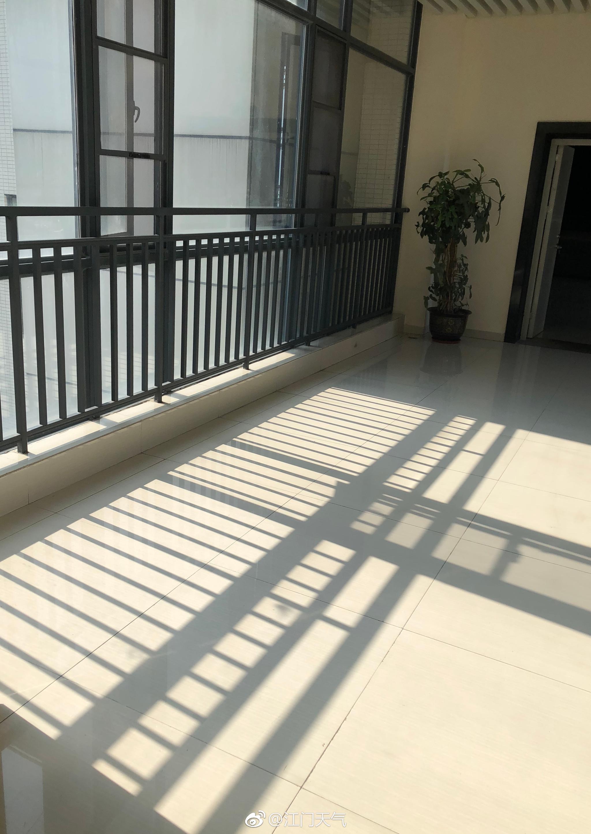 清晨起床打开窗,阳光美美哒