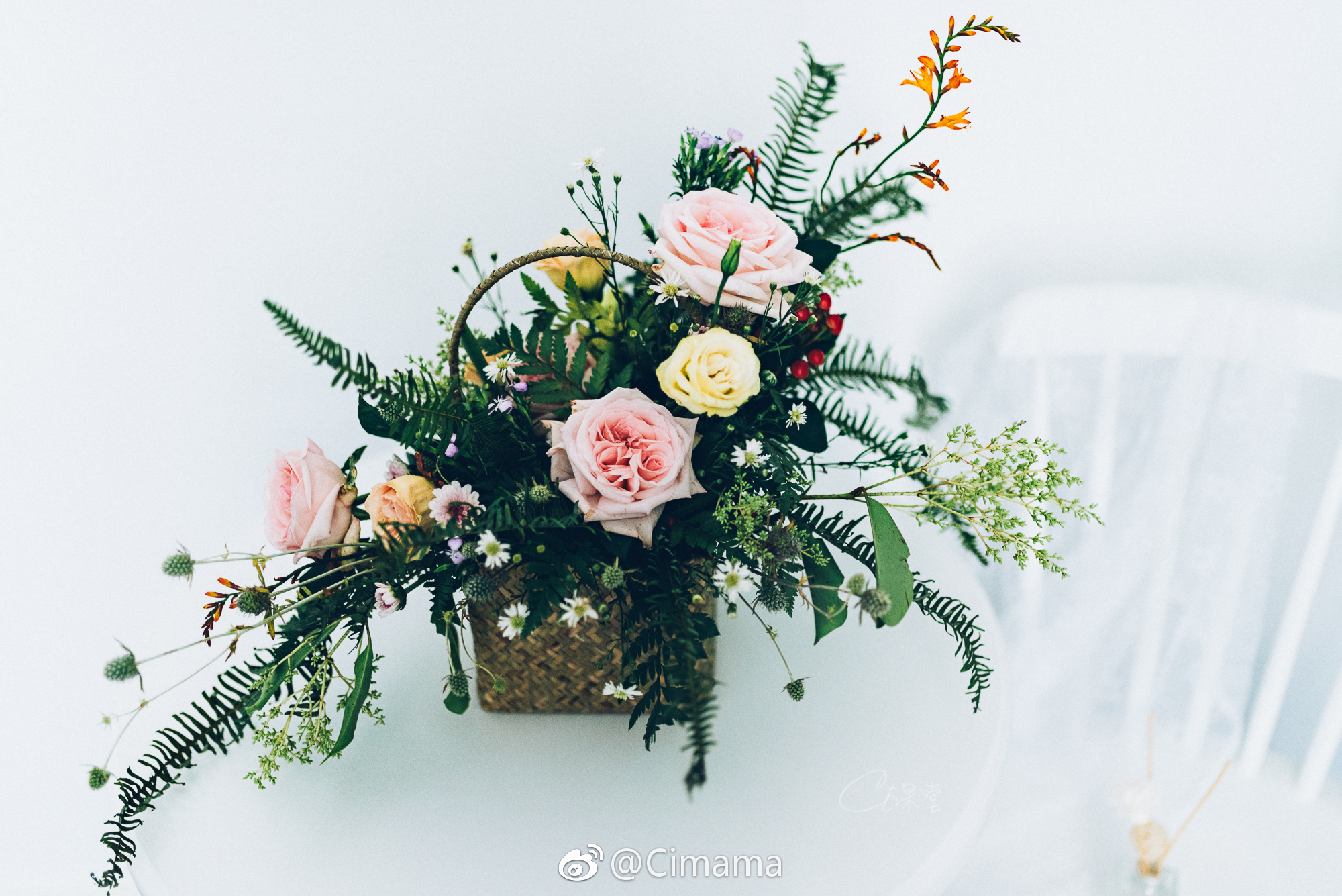 跟你们约,一簇花的时间|花艺师|店主|鲜花_新浪新闻