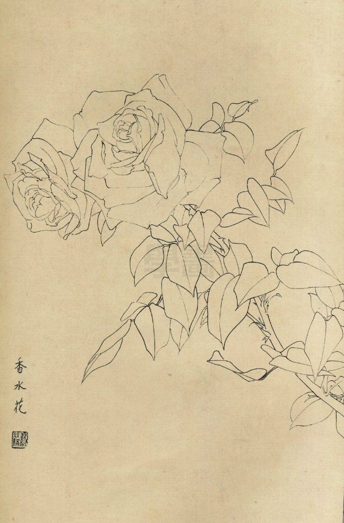 线描百花图谱