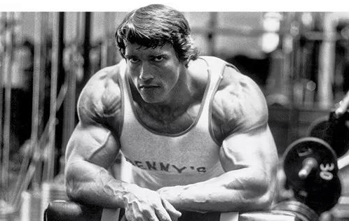 阿诺增肌蓝图——健美传奇给你的健身小技巧, 满满干货!