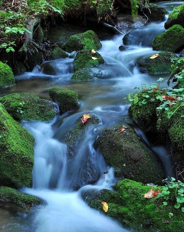 中国各地河边绿道地址有哪些 绿道徒步路线推荐