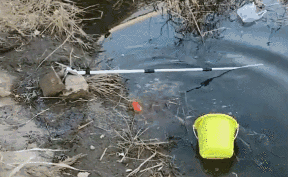 金毛见鱼被钓过程很挣扎?趁主人不注意打翻水桶放生!厉害了