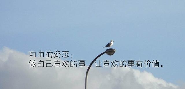 写给人生的十句话:致——走在路上的你(满满正能量)|人生|信心|理想