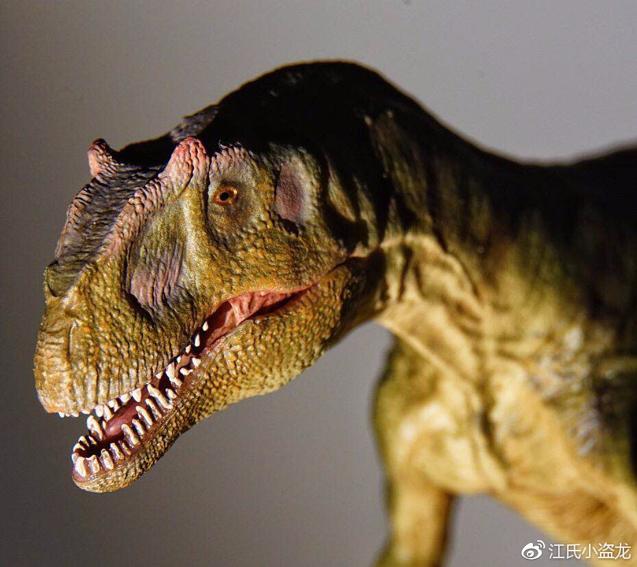 一条异特龙的成长史大艾尔的故事