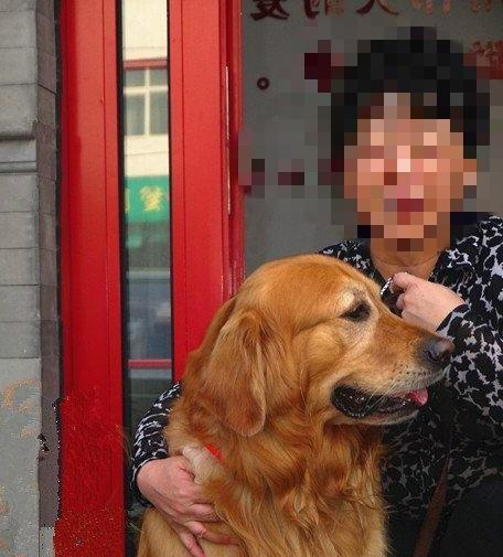 金毛往家里叼了一个红色垃圾袋, 主人打开一看居然是这