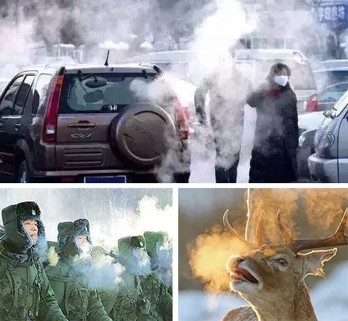 为了环保所以要买电动车?马自达技术之父:新能源车其实并不环保