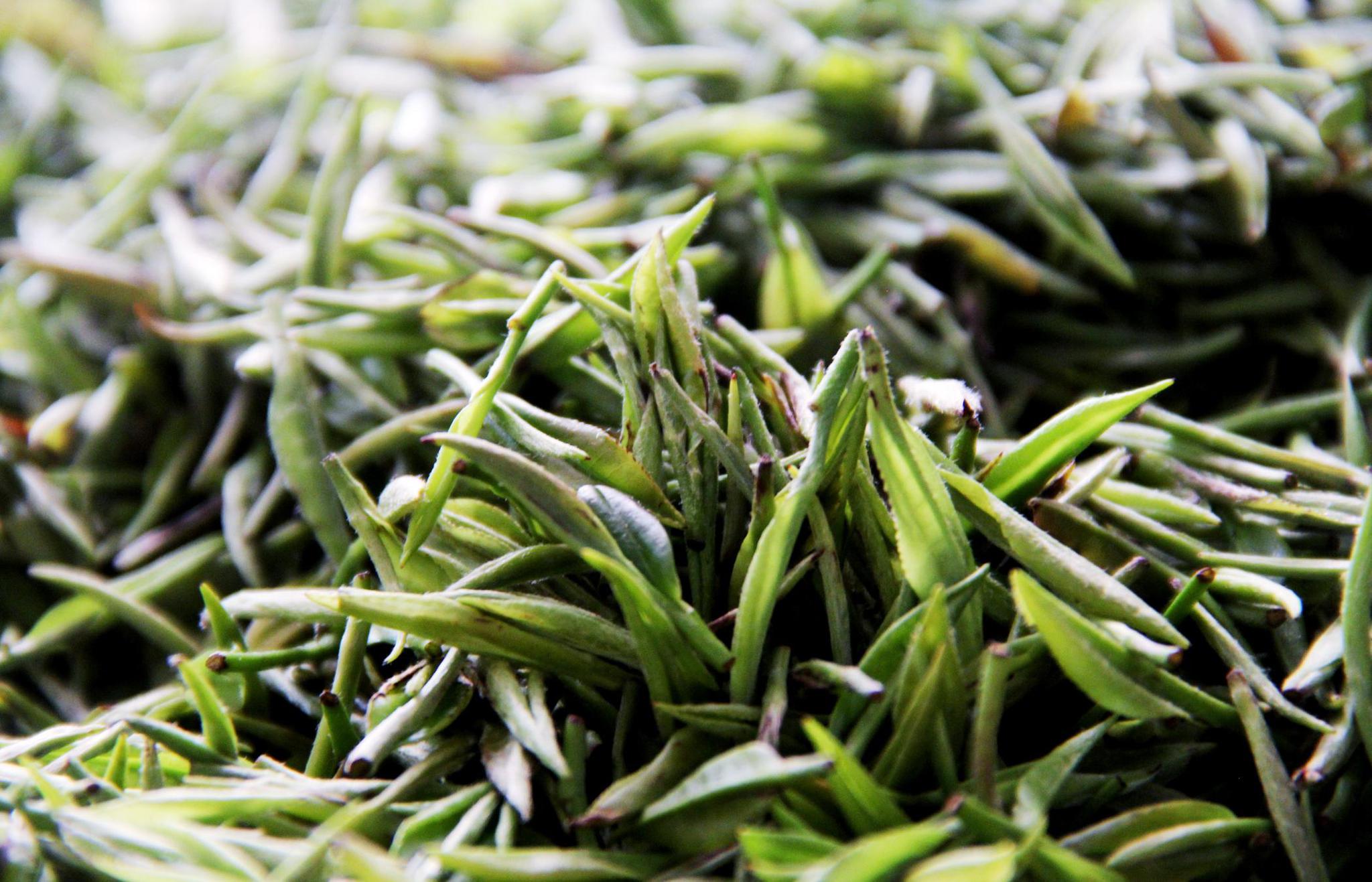 贵州茶,有小家碧玉的精致,色绿清香回味浓.