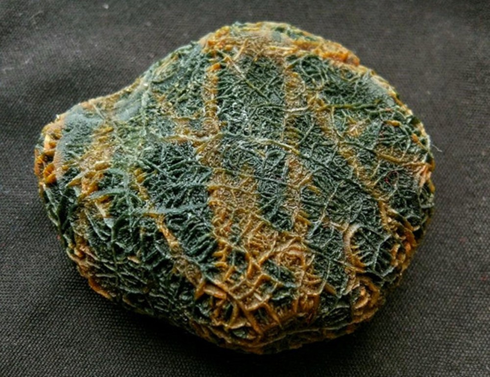 男子戈壁探险发现一"罕见奇石",仔细一看,两眼发傻了