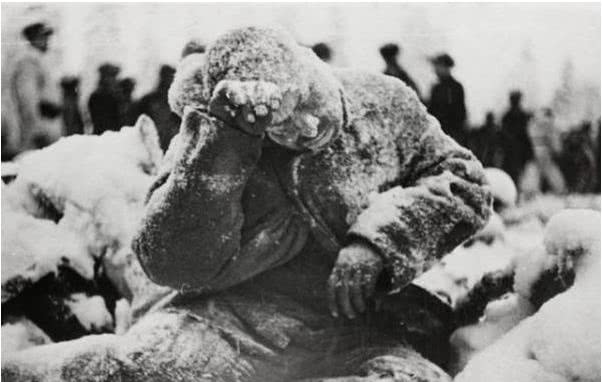 莫斯科保卫战中德国士兵被大量冻死他们为何不就地抢掠