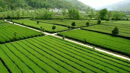 陕西有座森林城市,它的名字叫安康