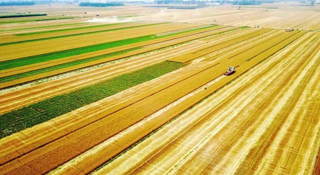 我是河北人,这里是我家!|黄骅|华北平原|吴桥_新浪网