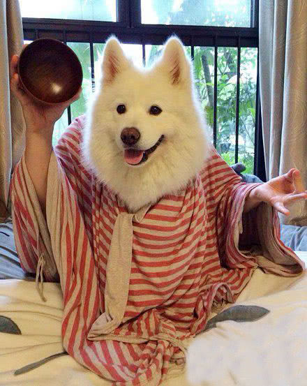 内涵搞笑图:走过路过不要错过啊,来看看本仙算命很准!