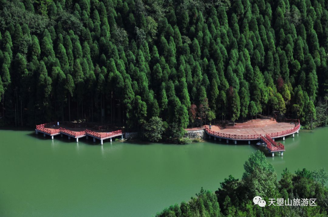 广元天曌山国庆美景已备好,森林星空露营即将启幕