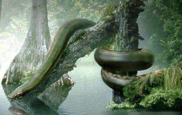 泰坦巨蟒的化石边发现史前巨鳄两者竞争关系从远古延续到了现在