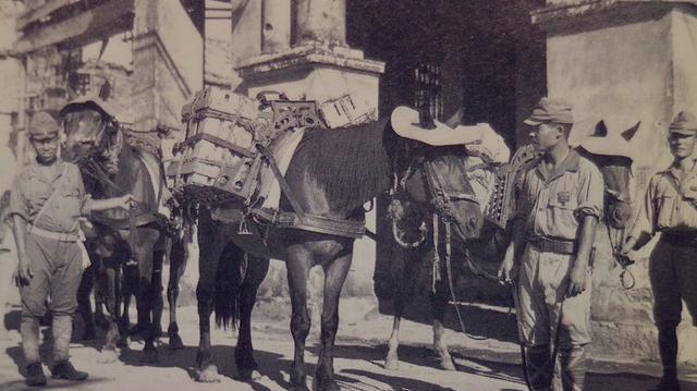 美日记者镜头下日军投降后狼狈的末路归途,感觉中国人民太仁慈
