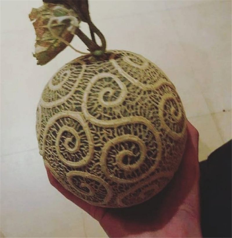 海贼王前期垃圾后期封神的5个果实第1给雷利吃单虐五老星