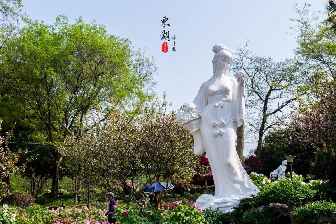 牡丹传说雕像,名木古树更是精彩纷呈,主要有武汉东湖牡丹园赋,江南