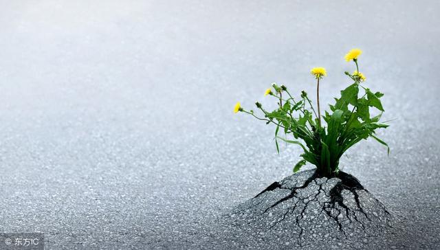 40岁人生感悟经典名言,句句刻骨铭心,耐人回味