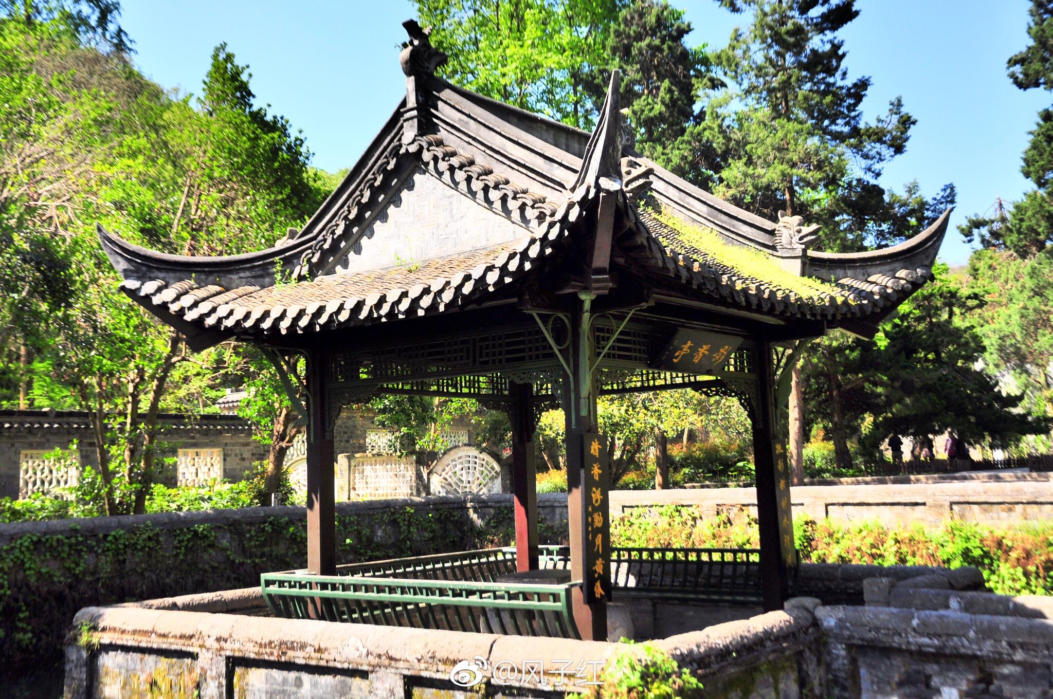 幽幽琅琊山,山里有瑰宝醉翁亭边有颗梅,太守欧阳修种之,故曰欧梅,待到