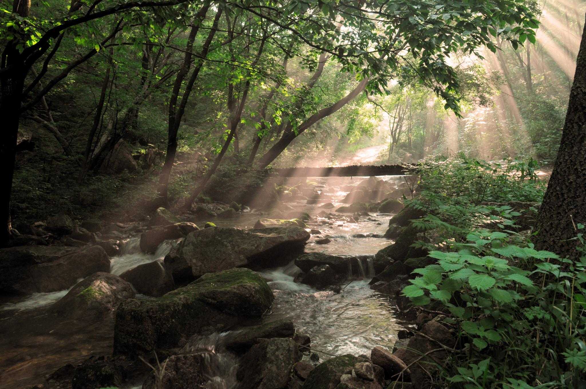 曲径通幽 静谧自然 ——辽宁本溪绿石谷"绿石谷"景区有三沟九瀑