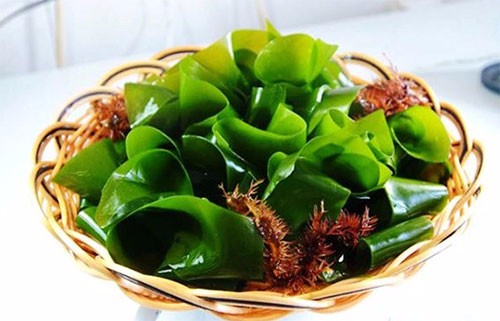 知道海菠菜的功效与作用 让你幸福度过后半生