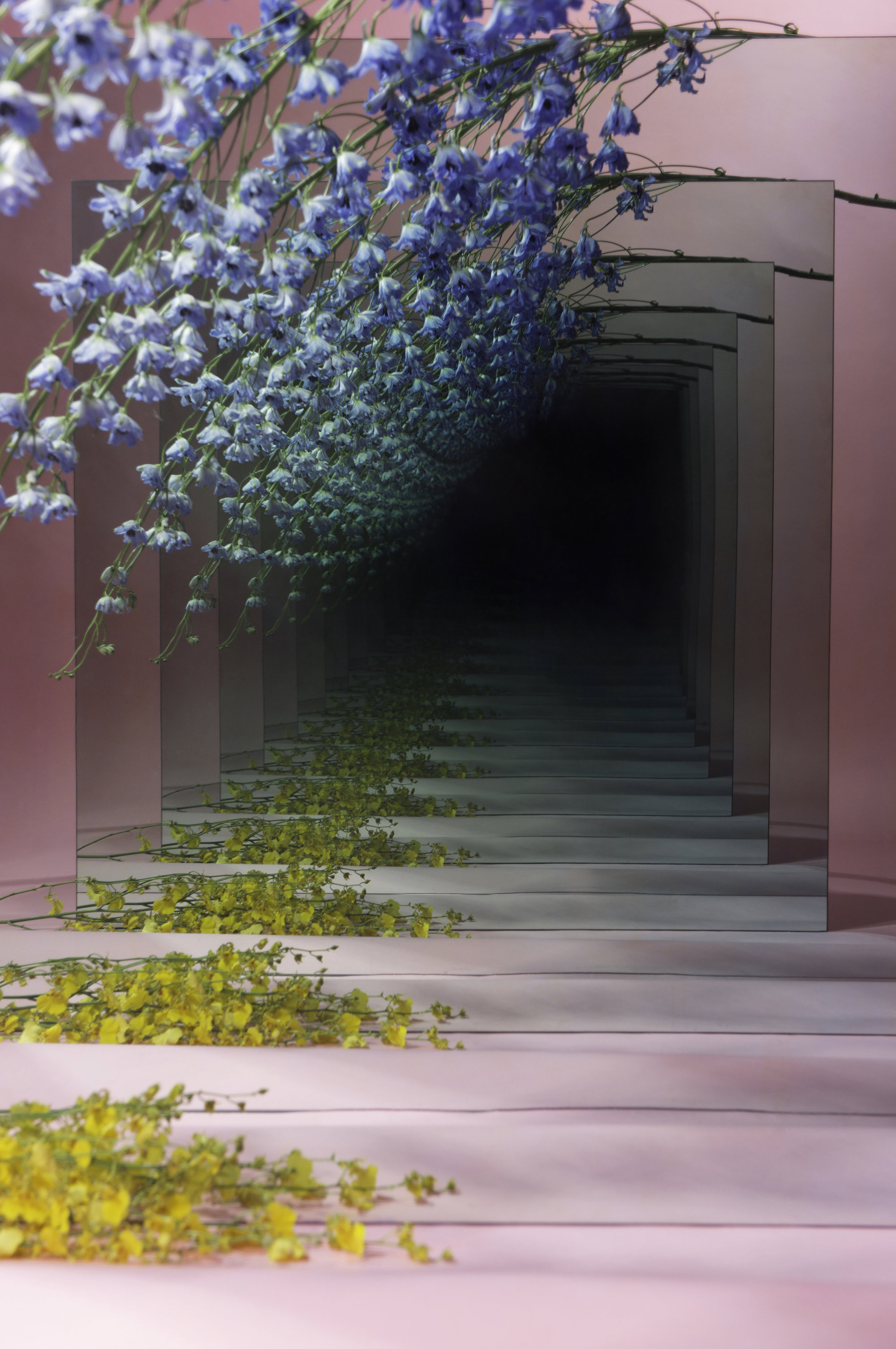 镜像站对seo影响