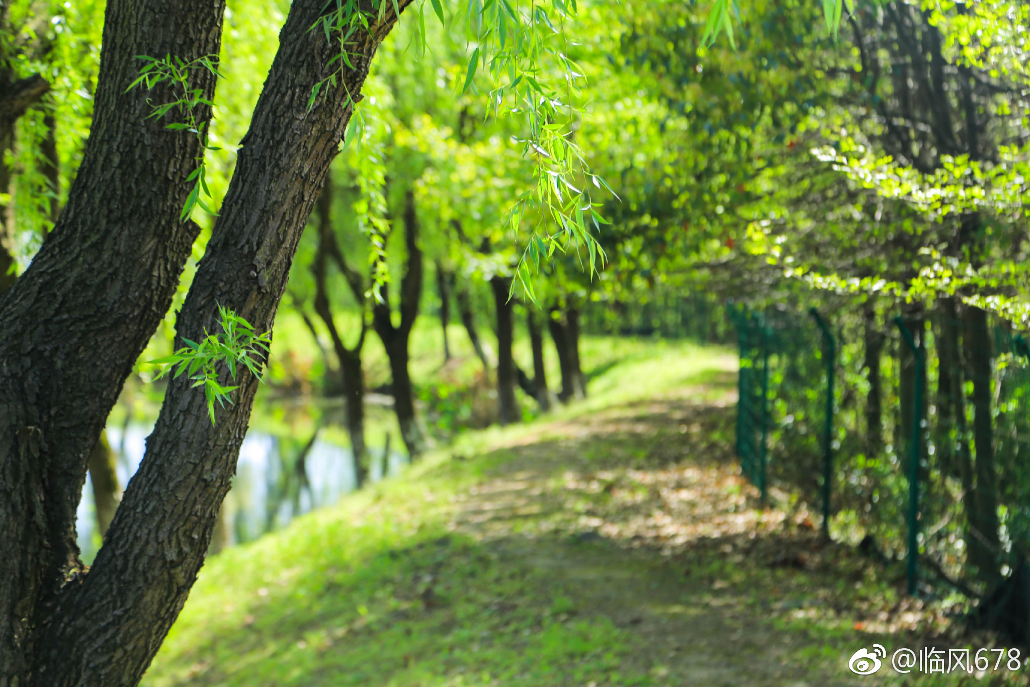 春天的色彩余杭秀山美地