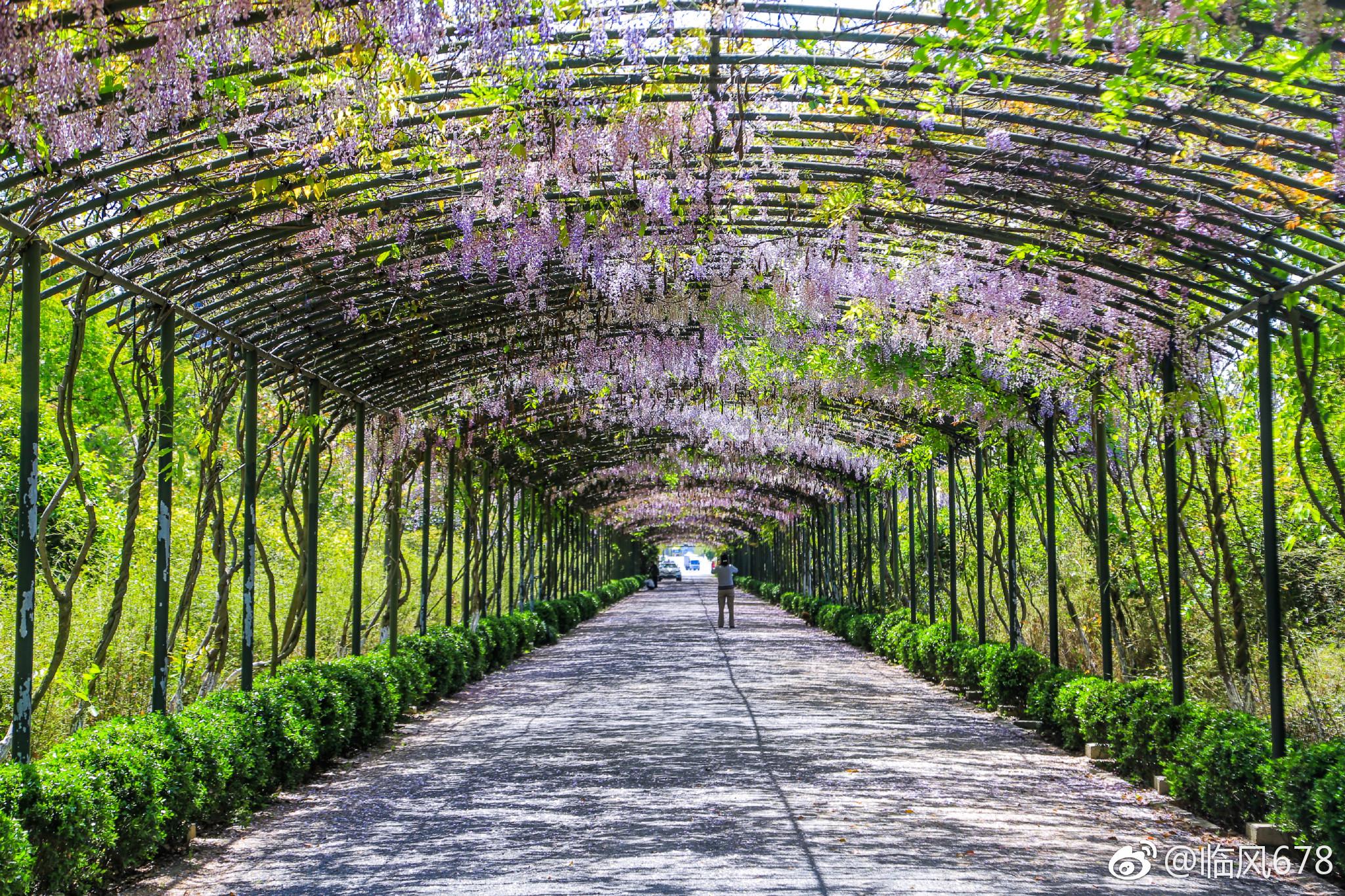 春天的色彩余杭秀山美地