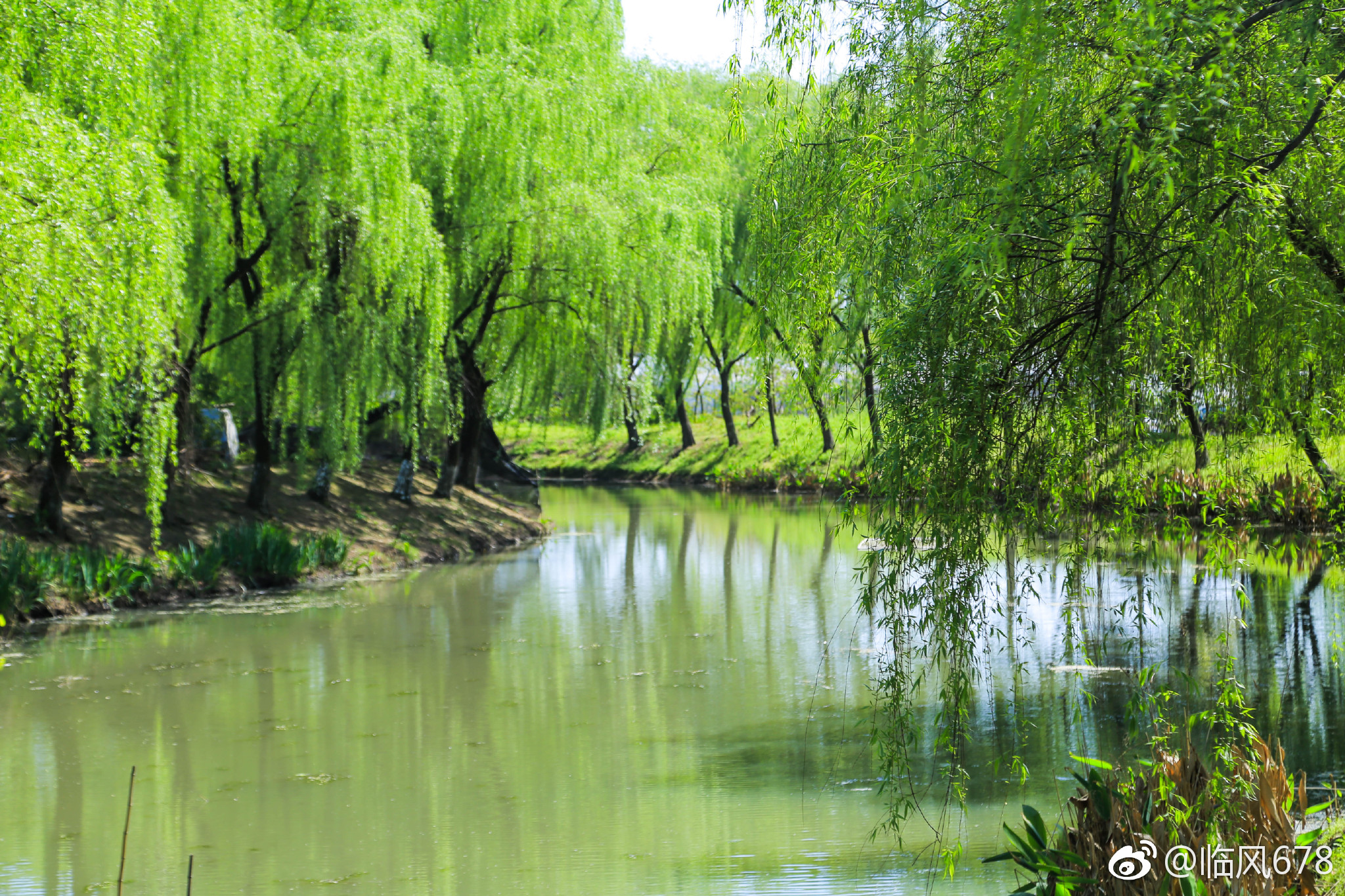 春天的色彩余杭秀山美地