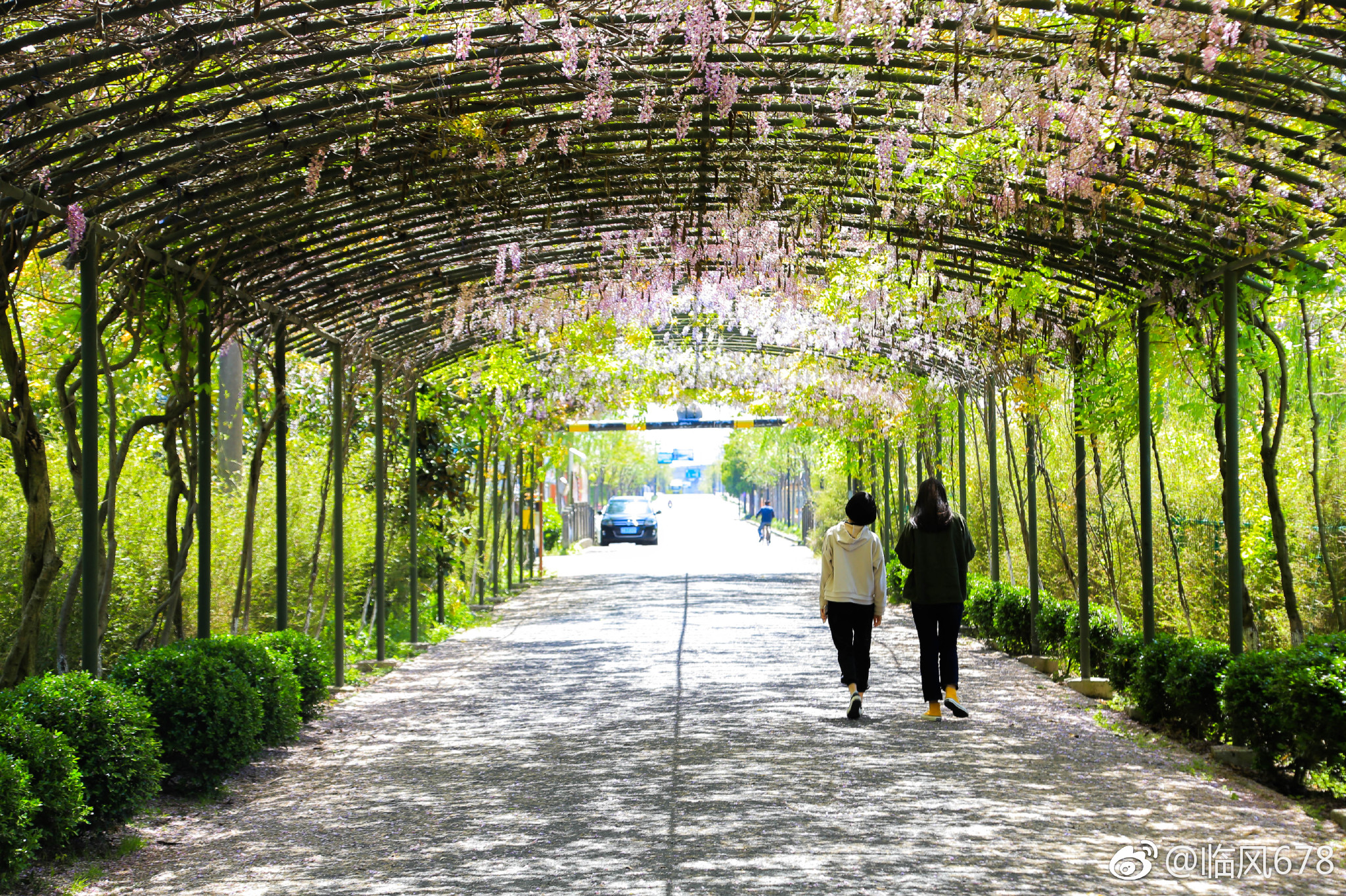 春天的色彩余杭秀山美地